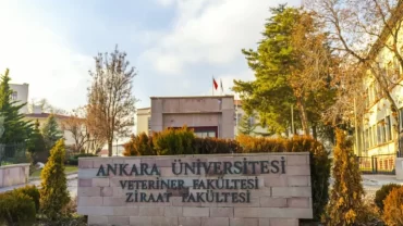 Ankara University