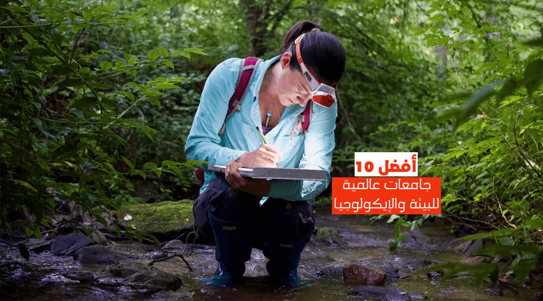 أفضل 10 جامعات عالمية للبيئة والإيكولوجيا