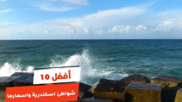 أفضل 10 شواطئ اسكندرية واسعارها