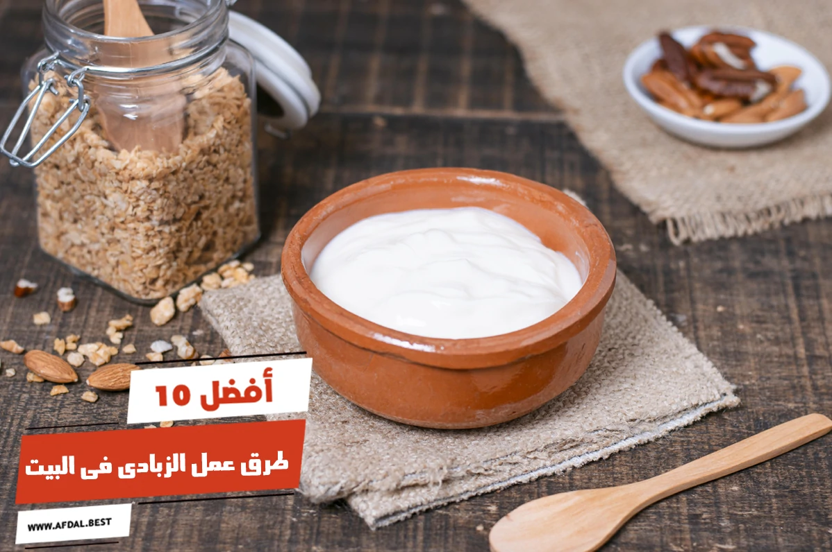 أفضل 10 طرق عمل الزبادى فى البيت