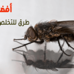 أفضل 10 طرق للتخلص من الذباب