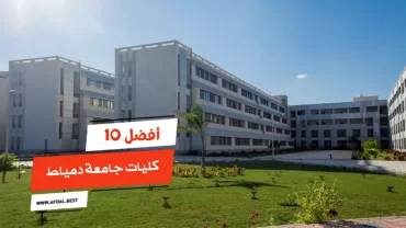 أفضل 10 كليات جامعة دمياط