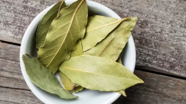 استخدام ورق الغار