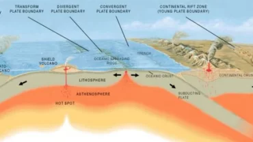 الصفائح التكتونية وراحة الأرض