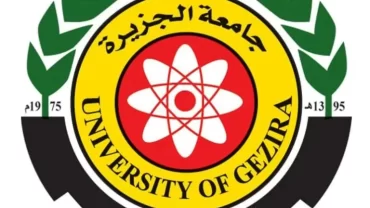 جامعة الجزيرة