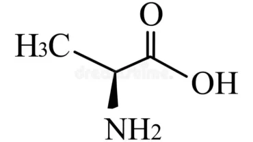 حمض الألانين