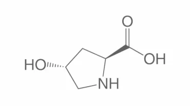 حمض الهيدروكسي برولين