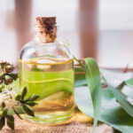 زيت الكافور