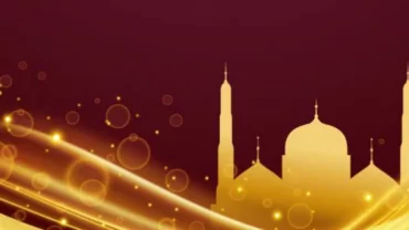 ما هو عدد زوجات نبي الله داود؟