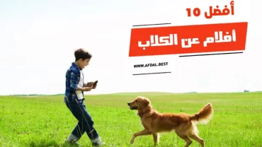 أفضل 10 أفلام عن الكلاب