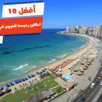 أفضل 10 أماكن رخيصة للخروج في الإسكندرية