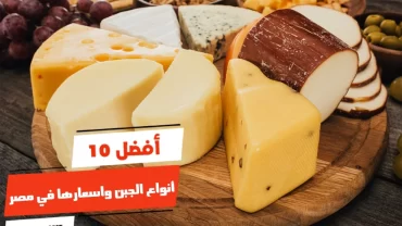 أفضل 10 أنواع الجبن واسعارها في مصر