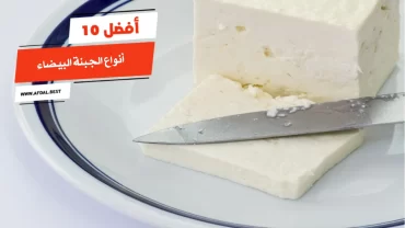 أفضل 10 أنواع الجبنة البيضاء