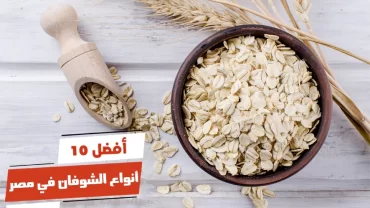 أفضل 10 أنواع الشوفان في مصر