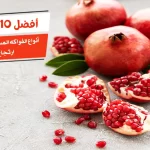 أفضل 10 أنواع الفواكه المسموح بها لمرضى ارتجاع المرئ