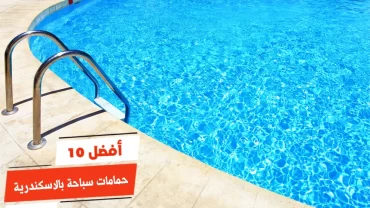 أفضل 10 حمامات سباحة بالاسكندرية
