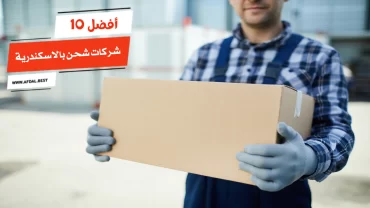 أفضل 10 شركات شحن بالاسكندرية