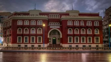 جامعة الإسكندرية