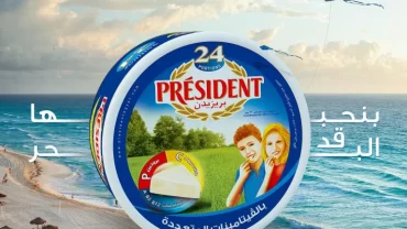 جبنة مثلثات بريزيدن / president