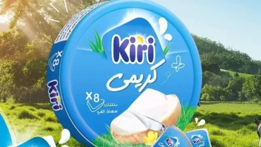 جبنة مثلثات كيري / kiri