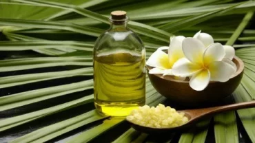 زيت الصبار Cactus oil