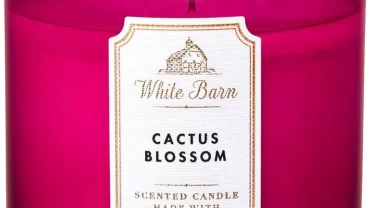 شمعة وايت بارن CACTUS BLOSSOM