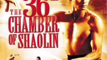 فيلم The 36th Chamber of Shaolin