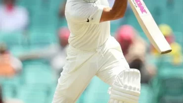 كريكت / Cricket