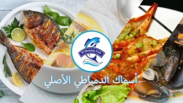 مطعم أسماك الدمياطي