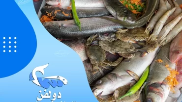 مطعم أسماك دولفن