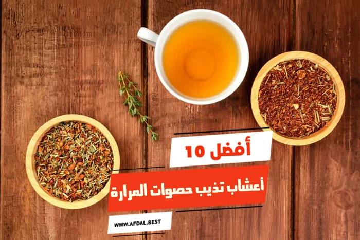 أفضل 10 أعشاب تذيب حصوات المرارة