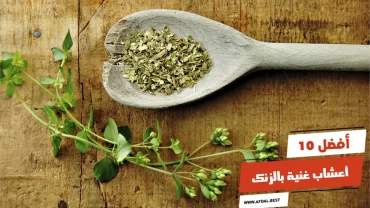 أفضل 10 أعشاب غنية بالزنك