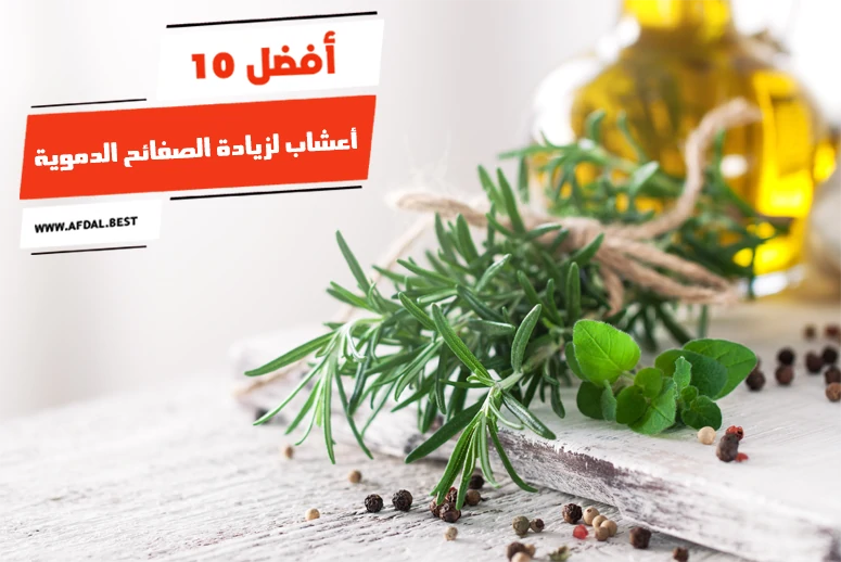 أفضل 10 أعشاب لزيادة الصفائح الدموية