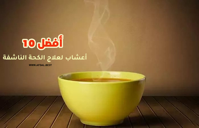 أفضل 10 أعشاب لعلاج الكحة الناشفة