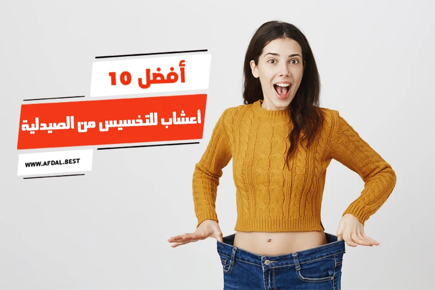 أفضل 10 أعشاب للتخسيس من الصيدلية