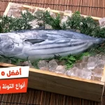 أفضل 10 أنواع التونة بالماء في مصر