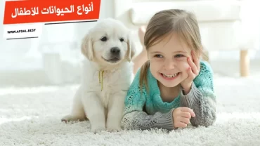 أفضل 10 أنواع الحيوانات للأطفال