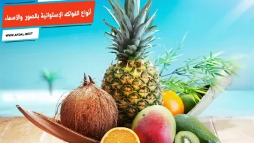 أفضل 10 أنواع الفواكه الإستوائية بالصور والأسماء