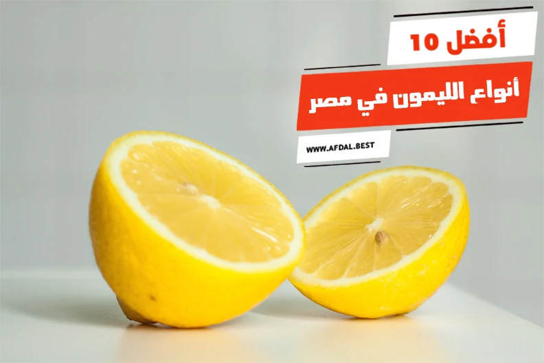 أفضل 10 أنواع الليمون في مصر