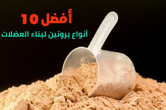 أفضل 10 أنواع بروتين لبناء العضلات