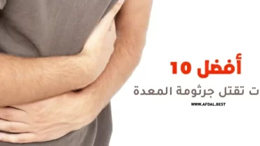 أفضل 10 اكلات تقتل جرثومة المعدة