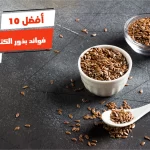 أفضل 10 فوائد بذور الكتان للنساء