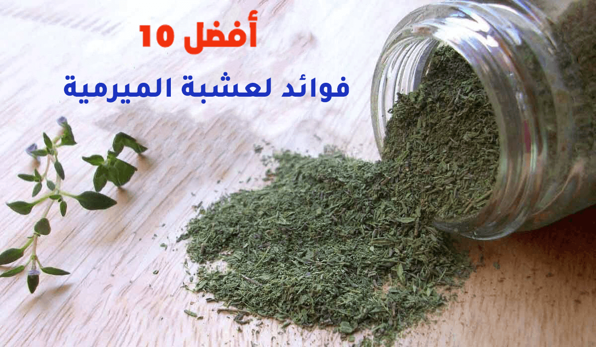 أفضل 10 فوائد لعشبة الميرمية