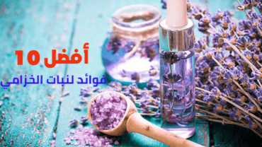 أفضل 10 فوائد لنبات الخزامي