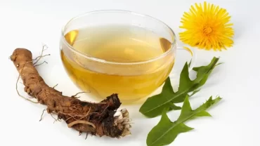 أوراق الهندباء