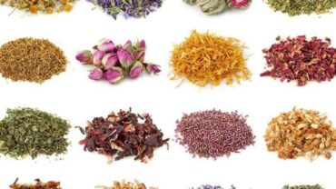 الاعشاب الطبيعيه