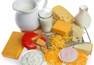 البروبيوتيك، ومصادره الألبان والجبنة
