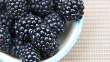 التوت الأسود