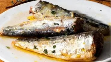 السردين المعلب