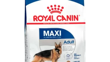رويال كانين ماكسي فود/ Royal Canin Maxi